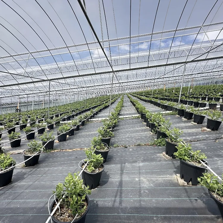 ¿Cómo ayuda la tela protectora contra malezas paisajísticas a crear mejores espacios de cultivo al aire libre?