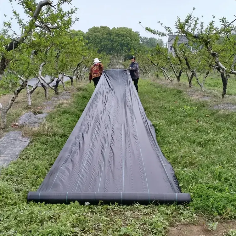 Agricultural Ground Cover Fabric