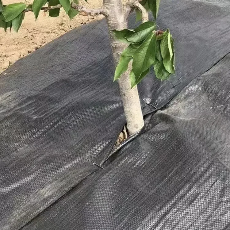 Agricultural Ground Cover Fabric