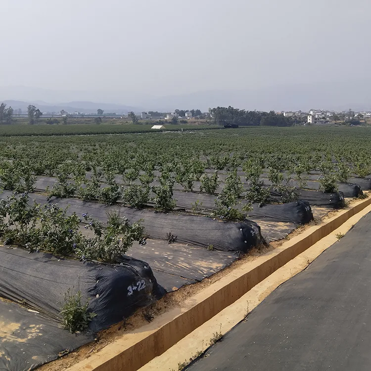 Agricultural Ground Cover Fabric