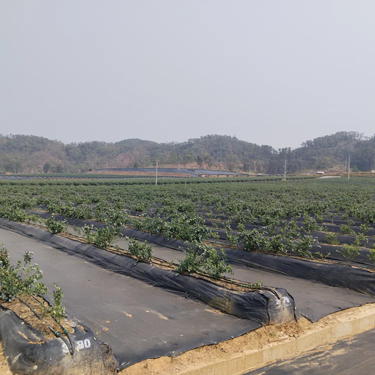 Agricultural Ground Cover Fabric