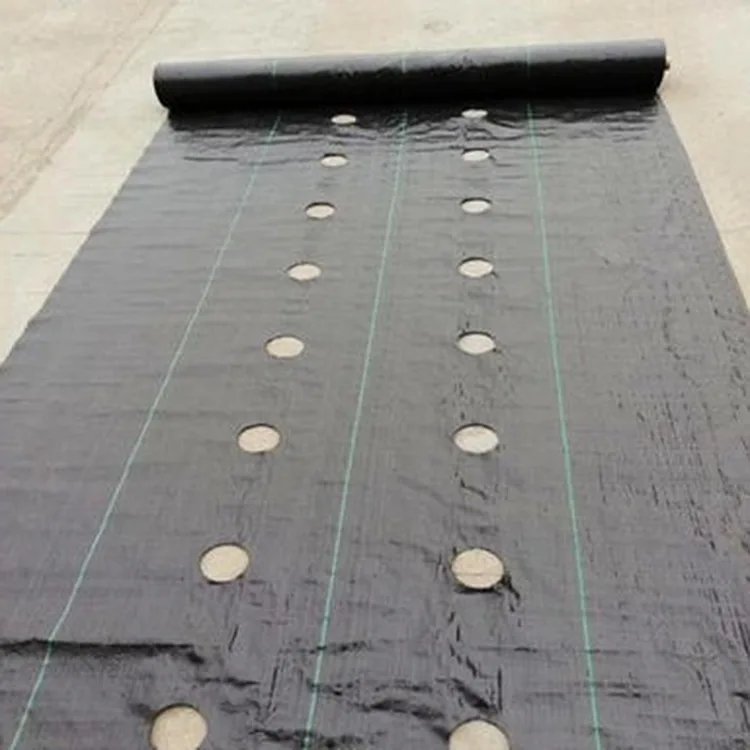 Perforated Weed Control Fabric